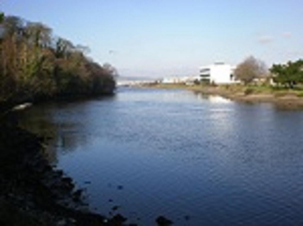 River Lodge Accomodation Wicklow Dış mekan fotoğraf